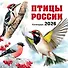 Птицы России. Календарь настенный на 2026 год (300х300 мм) - 0
