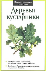 Деревья и кустарники