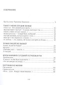Под искрами дней: Стихотворения 2017-2021 - 1