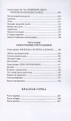 Небо журавлиное: повести - 2