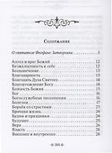 Зачем мы живем. По творениям святителя Феофана Затворника - 1