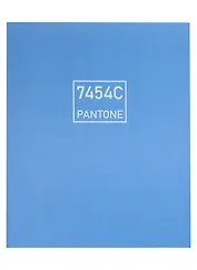 Книга для записей А5+ 96л лин. "Синяя река" интеграл.перепл., матов.ламин., выб.лак