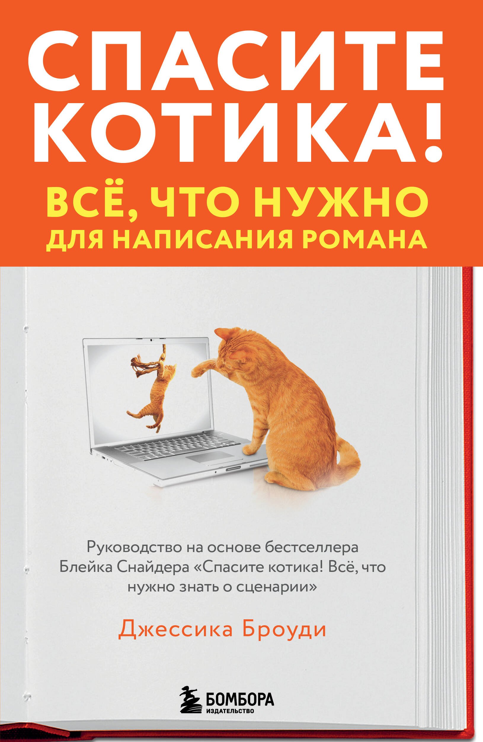  Спасите котика! Всё, что нужно для написания романа