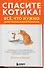 Спасите котика! Всё, что нужно для написания романа - 0