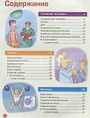 Энциклопедия человека. Как устроено наше тело - 1