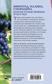 Виноград, малина, смородина. Богатый урожай любимых ягод в саду - 1