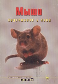 Мыши