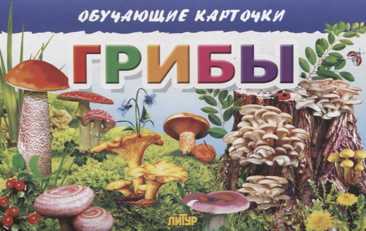 

Обучающие карточки "Грибы"