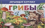 Обучающие карточки "Грибы"