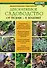 Декоративное садоводство : от теории к практике - 0