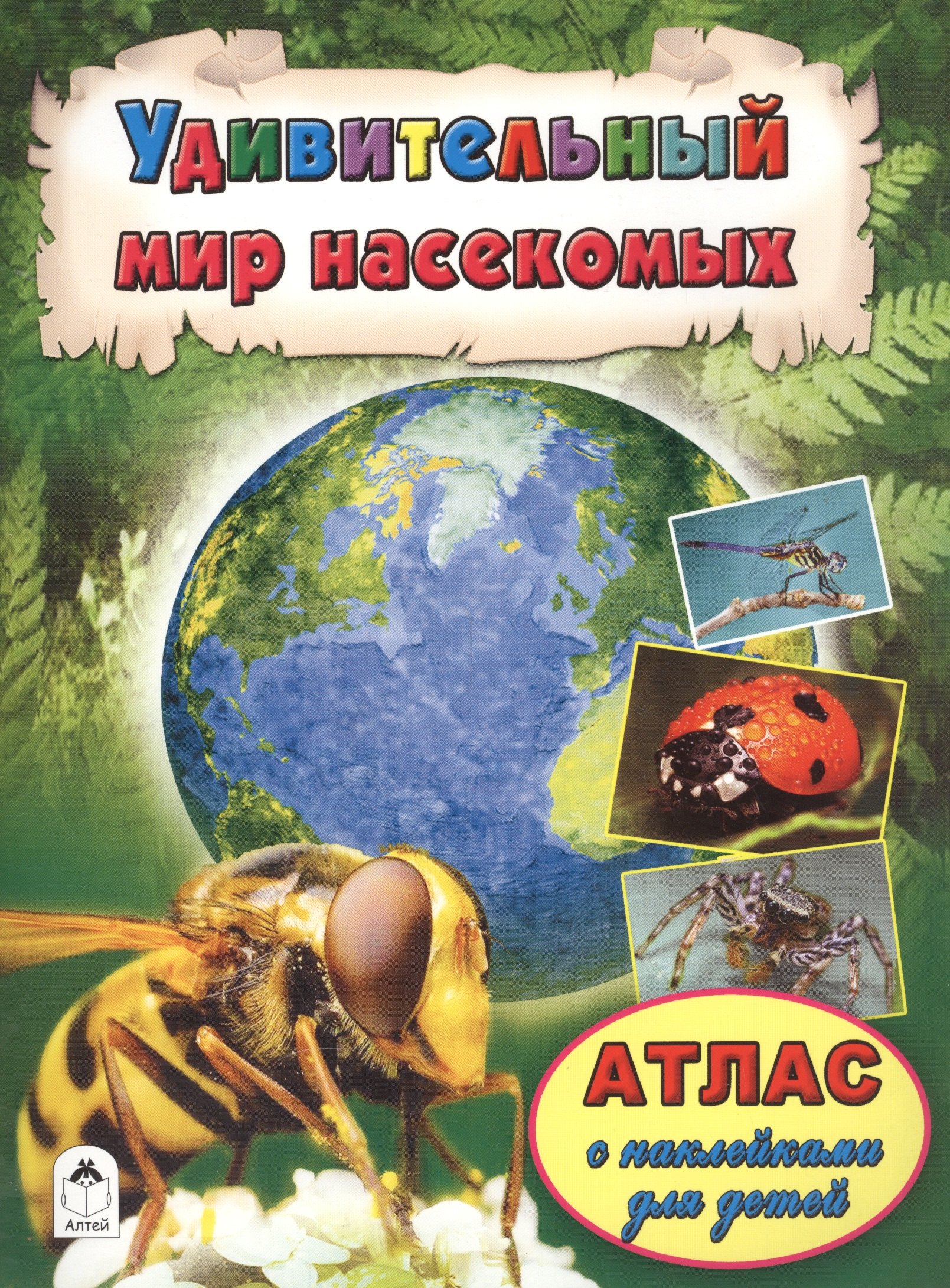 

Удивительный мир насекомых