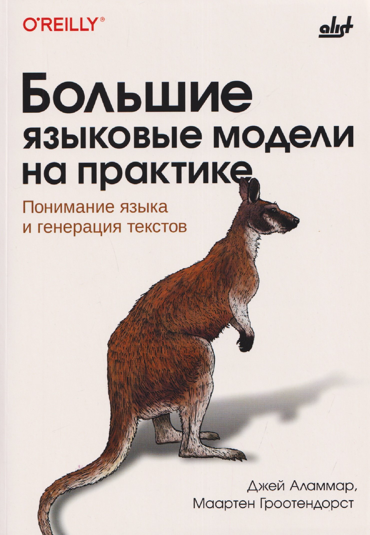 

Большие языковые модели на практике