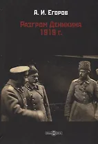 Разгром Деникина 1919 г.