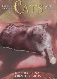 Оракул Кошек