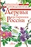 Деревья и кустарники России. Определитель - 0