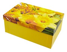 Коробка подарочная "Мимоза" 26*17*11см, , картон