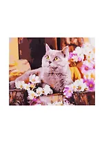 Набор д/творчества Рыжий кот Холст с красками 30х40см по номерам Британский кот в цветах Х-1751