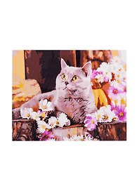 Набор д/творчества Рыжий кот Холст с красками 30х40см по номерам Британский кот в цветах Х-1751