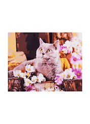 Набор д/творчества Рыжий кот Холст с красками 30х40см по номерам Британский кот в цветах Х-1751