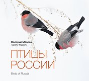 Птицы России