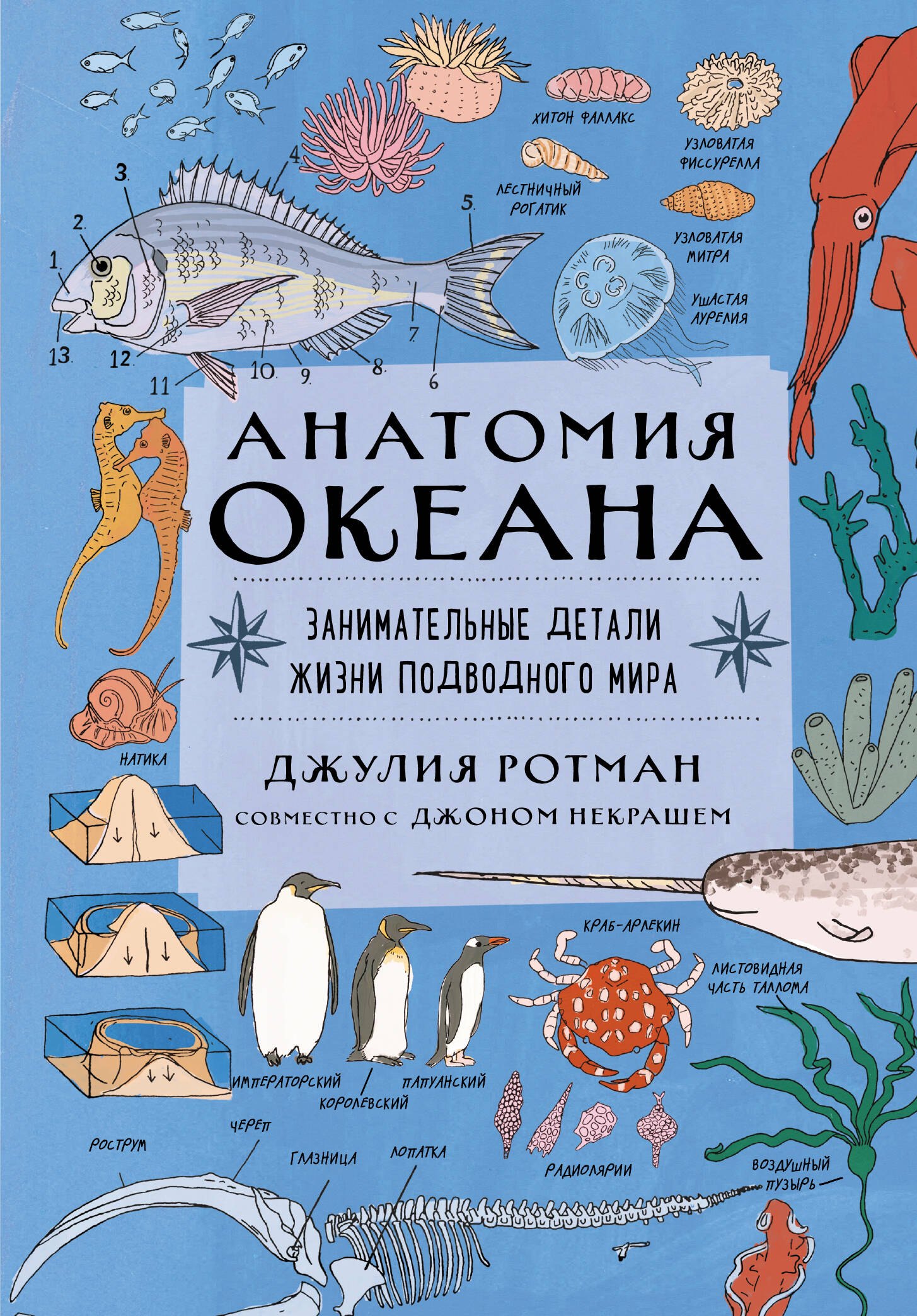 

Анатомия океана. Занимательные детали жизни подводного мира