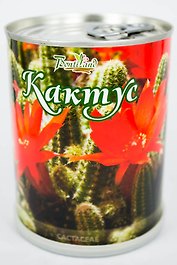 Цветок в банке "Кактус" (410466)