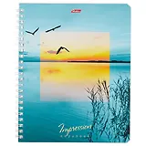 Тетрадь в клетку Hatber, Impressions, 80 листов, в ассортименте