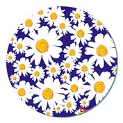 Доска для нарезки Ромашки (RCB-Camomile) (стекло) (d19) (в подар.упаков.) GiftLand