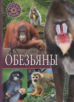 Обезьяны