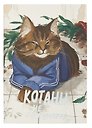 Книга для записи А5 128л кл. "Котаны не извиняются" инт.переплет, мат.лам. soft-touch, тисн.фольгой, офсет