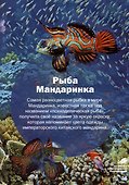 Волшебный и фантастический подводный мир - 2