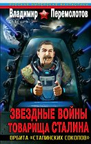 Звездные войны товарища Сталина. Орбита "сталинских соколов"