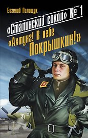 "Сталинский сокол" № 1. "Ахтунг! В небе Покрышкин!"