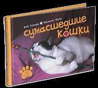 Сумасшедшие кошки