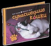 Сумасшедшие кошки