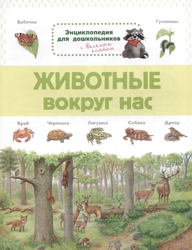   Буквоед Животные вокруг нас. Энциклопедия для дошкольников с веселым енотом