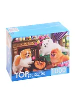 Пазл Игривые шпицы 1000 элементов TOPpuzzle ХТП1000-4145