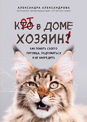 Кот в доме хозяин! Как понять своего питомца, подружиться и не навредить (новое оформление)