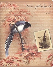 Тетрадь 48л кл. "ПТИЦЫ" конгрев + выб.УФ-лак, ассорти, Феникс