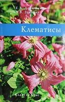 Клематисы