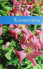 Клематисы