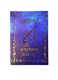 Диплом «Стрелец», Мастер