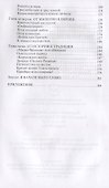 Карл Великий: Через империю к Европе - 2