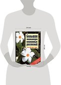 Большая энциклопедия комнатных растений - 1