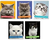 Тетрадь в клетку Listoff, "Характер котика", А5, 96 листов