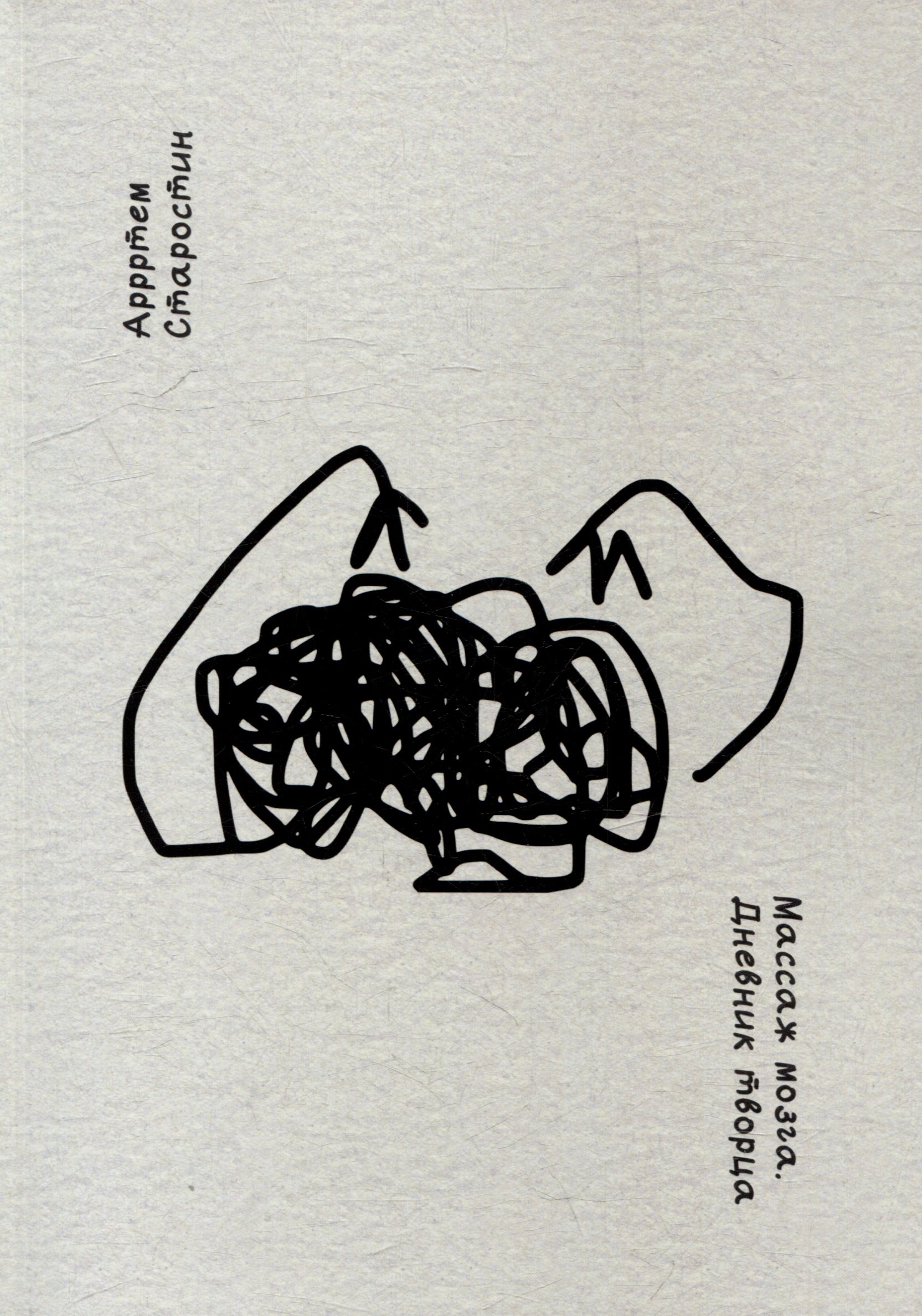 

Массаж мозга. Дневник творца