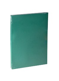 Бумага для пастели А4 "Iris Vivaldi" 240гр/м2, №30 зеленый мох, Canson