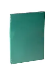 Бумага для пастели А4 "Iris Vivaldi" 240гр/м2, №30 зеленый мох, Canson