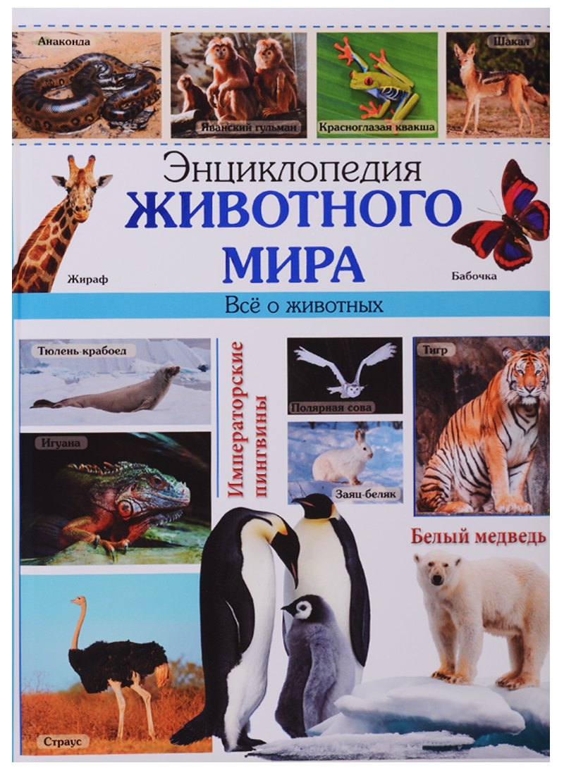

Энциклопедия животного мира наша