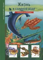 Жизнь в соленой воде: Школьный путеводитель